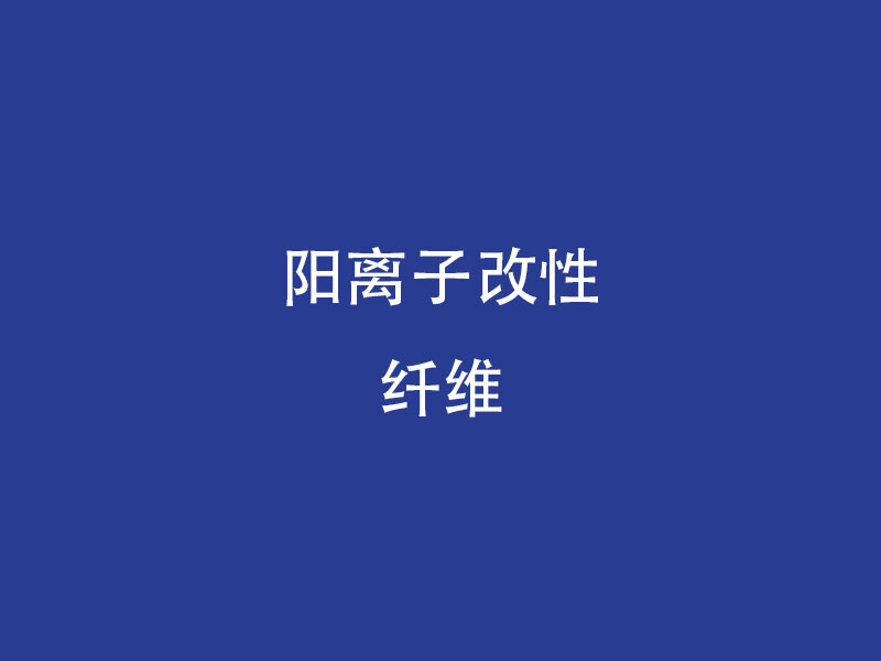 陽(yáng)離子改性纖維